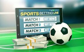Explore the World of Betting with Betwinner -622179622